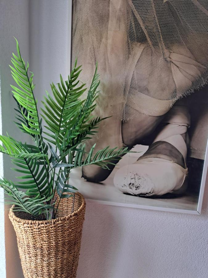 Ballerina Apartment Dubrovnik Ngoại thất bức ảnh